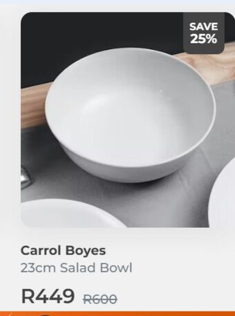 OneDayOnly Carrol boyes 23cm salad bowl offer