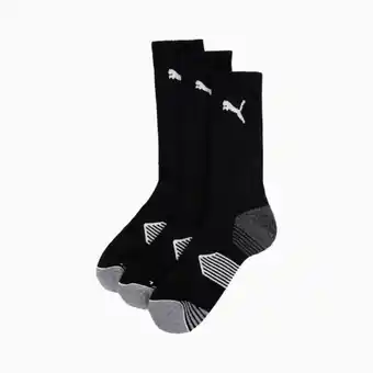 Essential crew cut 3 pack golf socks