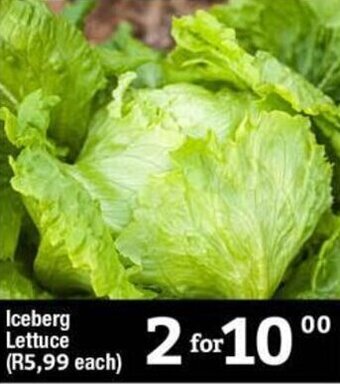 Iceberg Lettuce (R5,99 each)