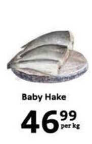 Baby Hake