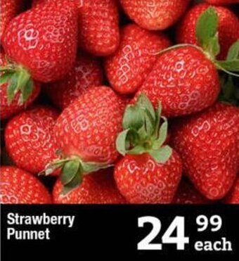 Oxford Freshmarket Strawberry Punnet offer
