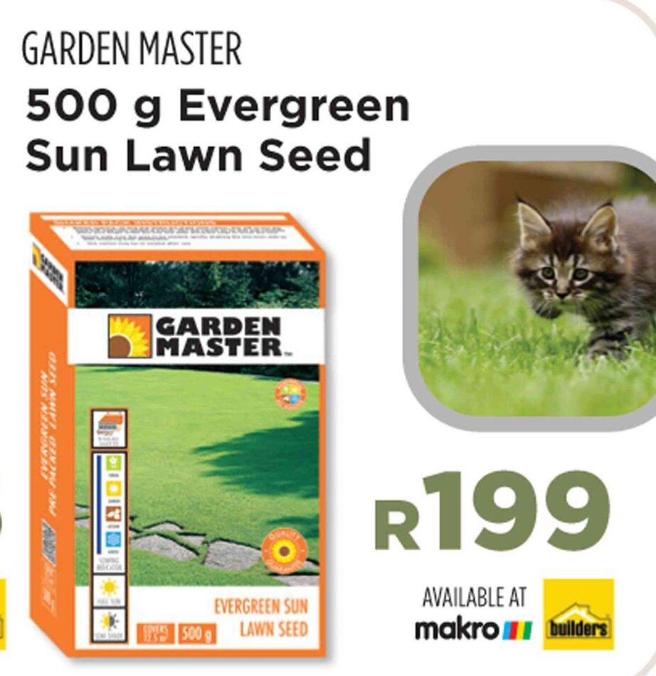 GARDEN MASTER 500 g Evergreen Sun Lawn Seed offer at Builders Warehouse