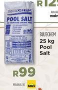 Builders Warehouse Bluechem 25kg pool salt offer
