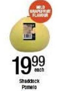 Shaddock Pomelo