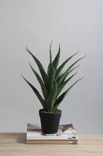 Sheet Street Faux potted plant offer