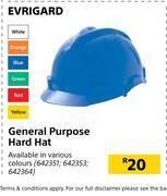 Builders Warehouse Evrigard general purpose hard hat offer