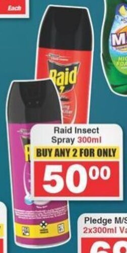 Raid Insect Spray 300ml