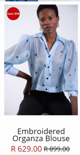 Embroidered organza blouse