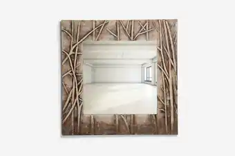 Calisto mirror