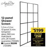 Builders Warehouse Aquador 12-panel shower screen offer