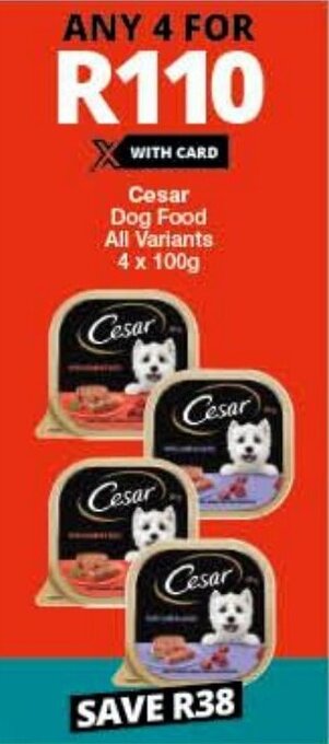 Checkers Cesar Dog Food All Variants 4x100g offer