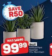 Pick n Pay Day artificial plant assorted 7.5 x 18cm-each offer