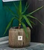 Builders Warehouse Flora Select Medium Grass Basket offer