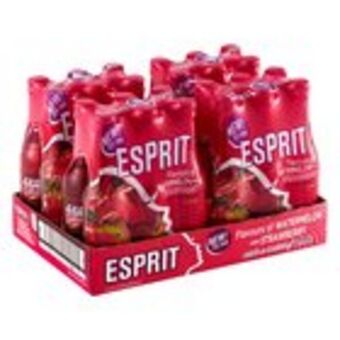 Esprit watermelon & strawberry 275ml x 24