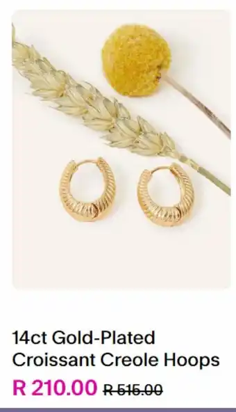 14ct gold plated croissant creole hoops
