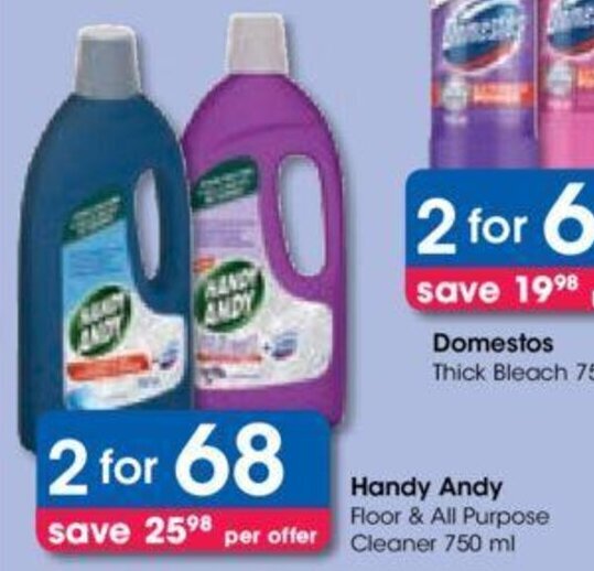 Handy Andy Floor & All Purpose Cleaner 750ml offer at Clicks