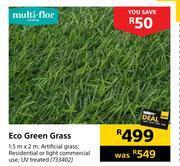 Builders Warehouse Multi-flor eco green grass offer