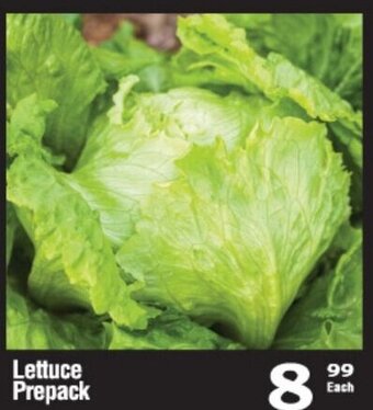 Lettuce Prepack