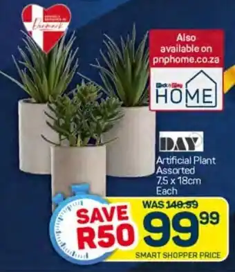 Pick n Pay DAY Artificial Plant Assorted 7.5 x 18cm Each offer