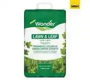Builders Warehouse Wonder Vitaliser Lawn and Leaf 7-1-3 15 +C 8 SR Granules (5kg) offer