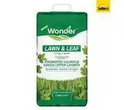Builders Warehouse Wonder Lawn and Leaf Vitaliser Granules (10kg) offer