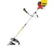 Builders Warehouse Ryobi Brush Cutter Petrol - RPT4300 offer