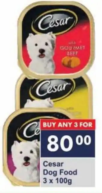 Cesar Dog Food 3 x 100g