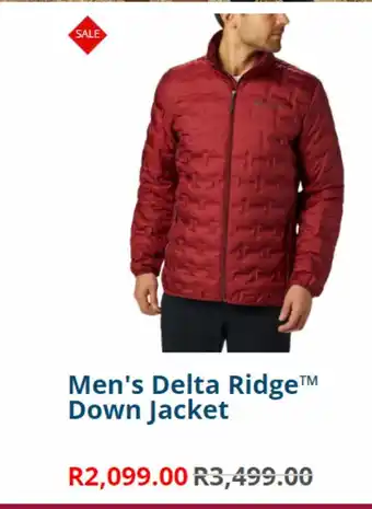 Men's delta ridge down jacket