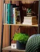 Hk nevis ladder shelf-600mm (h) x 325mm (w) x 148mm (d)