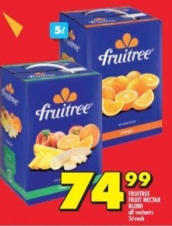 Shoprite FRUITREE FRUIT NECTAR BLEND all variants 5L each offer