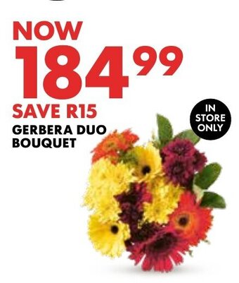 GERBERA DUO BOUQUET