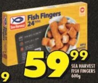 Shoprite SEA HARVEST FISH FINGERS 600g offer