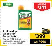 Builders Warehouse Efekto roundup weedkiller concentrate-1l offer
