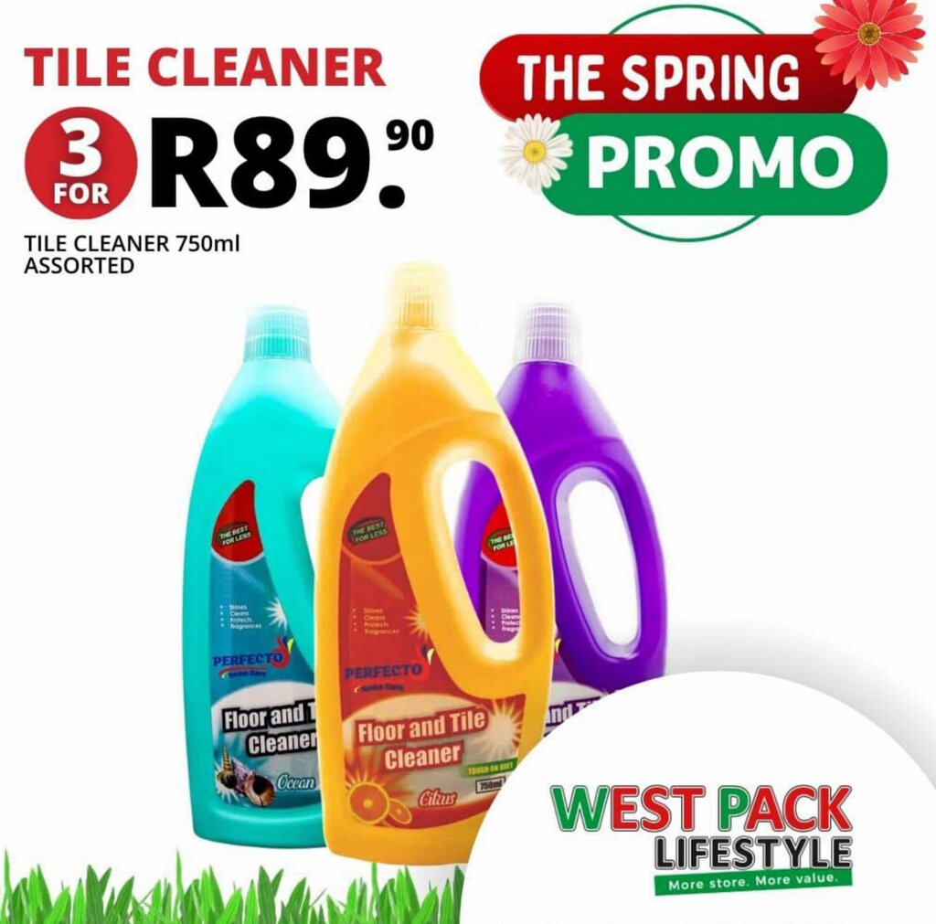 TILE CLEANER 750ml ASSORTED offer at West Pack Lifestyle