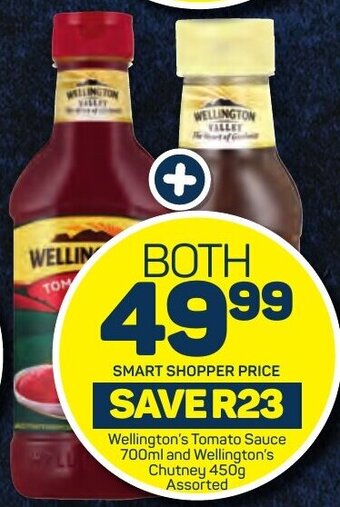 Pick n Pay Wellington's Tomato Sauce 700ml and Wellington's Chutney 450g Assorted offer