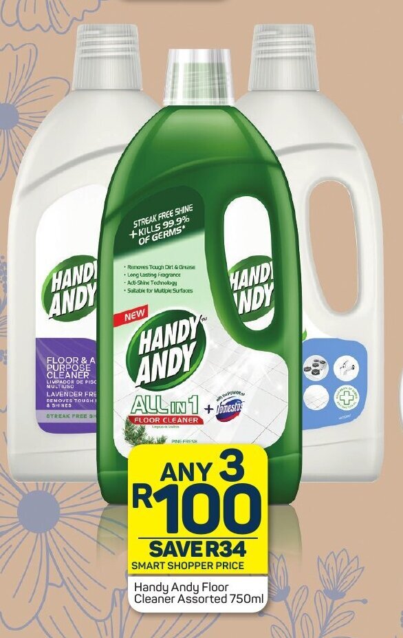 Handy Andy Floor Cleaner Assorted 750ml offer at Pick n Pay