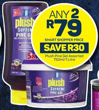 Pick n Pay Plush Pine Gel Assorted 750ml/1 Litre offer