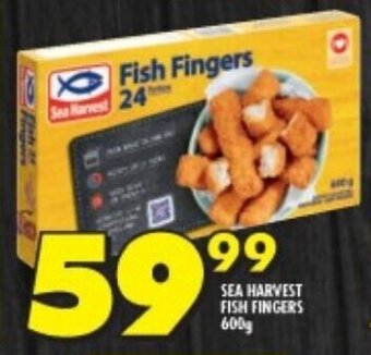 Shoprite SEA HARVEST FISH FINGERS 600g each offer