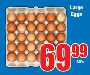 Boxer Large eggs offer