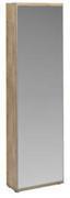 Leroy Merlin Mirrored shoe storage cabinet 81459269 offer