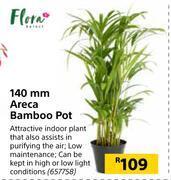 Builders Warehouse Flora 140mm areca bamboo pot offer