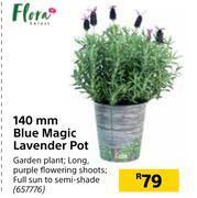 Builders Warehouse Flora 140mm blue magic lavender pot offer
