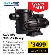 Builders Warehouse Blue chem 0.75 kw 230v 2 pump offer