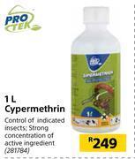 Builders Warehouse Protek cypermethrin-1l offer