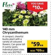 Builders Warehouse Flora 140mm chrysanthemum-each offer