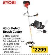 Builders Warehouse Ryobi 43cc petrol brush cutter offer
