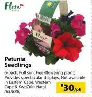 Builders Warehouse Flora Petunia Seedings-Per pk offer