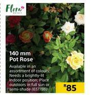 Builders Warehouse Flora 140mm Pot Rose offer