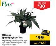Builders Warehouse Flora 140mm spathiphyllum pot offer