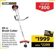 Builders Warehouse Trimtech 43cc brush cutter offer